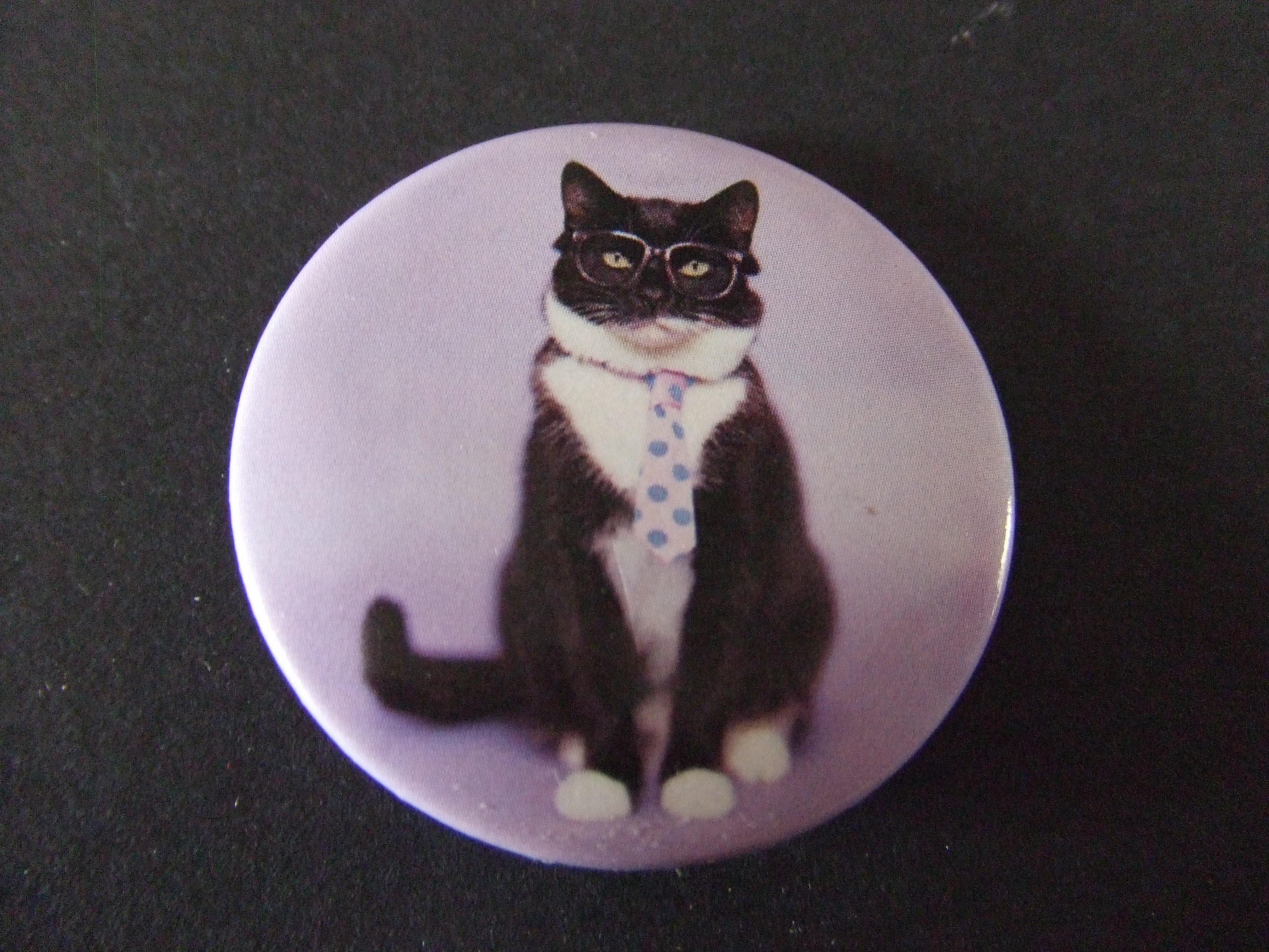 Poes-Kat met stropdas
